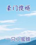 豪门傻婿免费观看全集高清