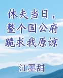 休夫当日，整个国公府跪求我原谅电子书