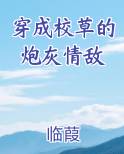 穿成校草的炮灰情敌