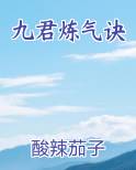九君炼气诀