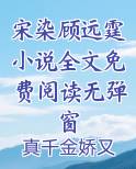 女主叫宋染的校园小说
