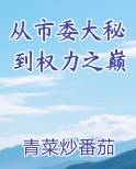 从市委大秘到权力之巅原著小说