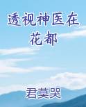 透视神医在花都
