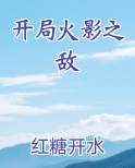 开局火影之敌