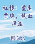 红楼：重生贾瑞，铁血风流