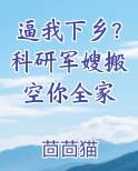 逼我下乡？科研军嫂搬空你全家电子书