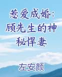 惹爱成婚：顾先生的神秘悍妻