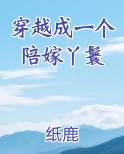 穿越成一个陪嫁丫鬟