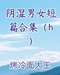 阴湿男女短篇合集（h）电子书