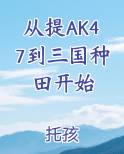 从提AK47到三国种田开始