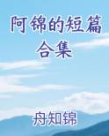 阿锦的全部小说