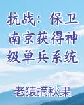 抗战：保卫南京获得神级单兵系统