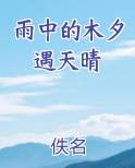 雨中的木槿花图片