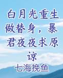 白月光重生做替身，暴君夜夜求原谅