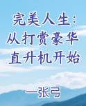 完美人生 顶点