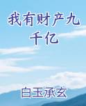 我有财产九千亿