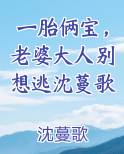 一胎俩宝，老婆大人别想逃沈蔓歌