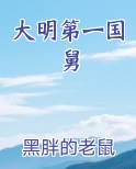 大明第一国舅