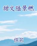 甜文陆景燃
